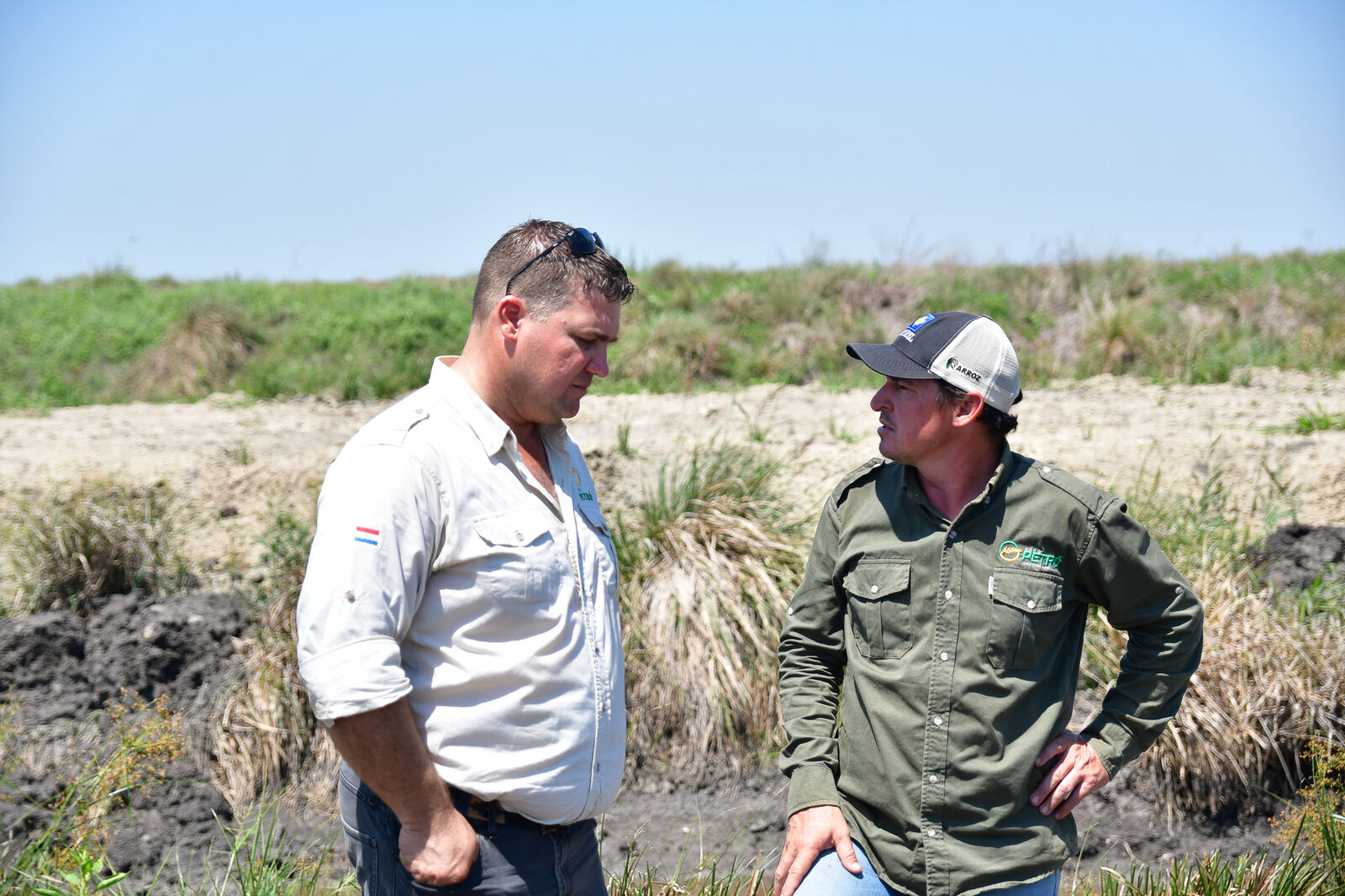 Dos integrantes de Agro Petró conversan al borde de un arrozal en Fram